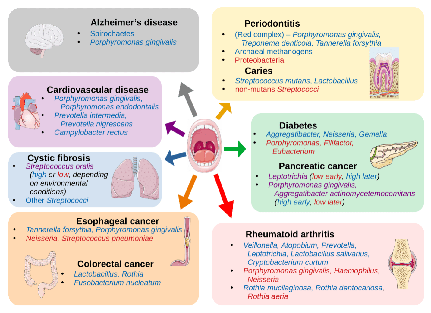 Your Smile, Our Passion Carver Family Dentistry Imagine Health